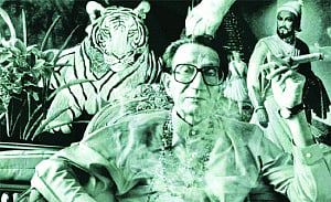The Tiger's Tale