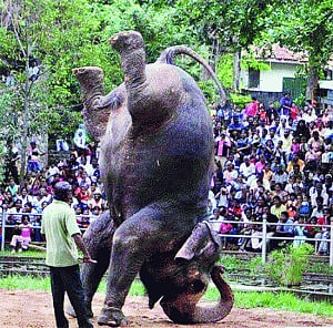 GANESHA IN BONDAGE