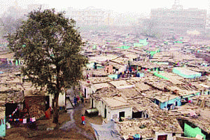 Soon NDMC will feel flushed with success