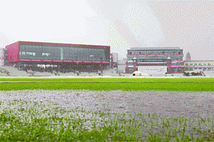 Rain comes to the rescue