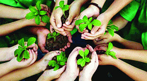 Delhi to clean up, green up