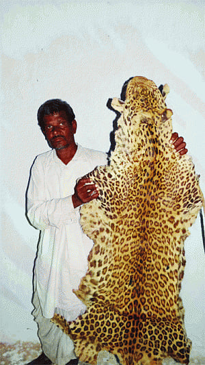 Four poachers get 3-yrs in prison