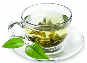 Green tea can protect spinal cord neurons