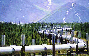 Govt plans to add 15,000 km new pipelines under national gas grid programme