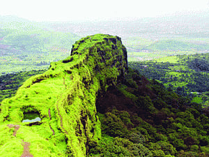 Western Ghats: MoEF most messy Ministry, says NGT