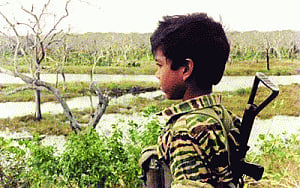 Disarmed lTTE in revival mode