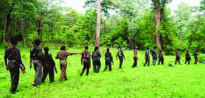 Govt to train IAS, IFoS officers to handle Naxalism