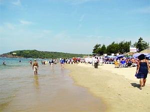 Home crises to keep Russians out of Goa