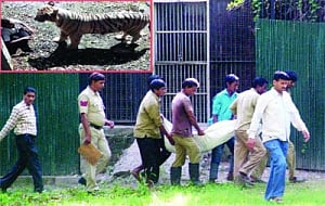 ZOO SAFETY: STIll FlOGGING A DEAD HORSE?