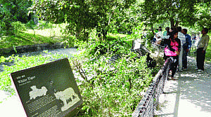 Footfall at Delhi Zoo drops to half