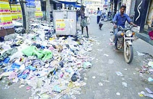 litter louts come into bloom!