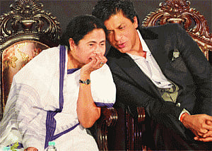 Kolkata Knight rode Rose Valley's coattails