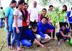 World Forest Day celebrated
