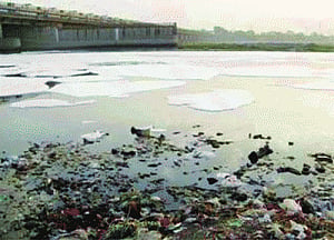 Shallow cleanup of Yamuna goes off the deep end