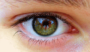 Implantable eye devices that improve vision