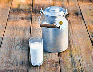 Fresh milk keeps infections at bay: study