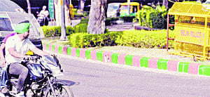NDMC tickled pink after rub of the green