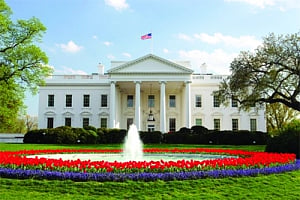 Suspicious cyber activity detected on White House network