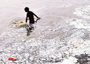 Whip polluters to save Ganga! SC tells NGT