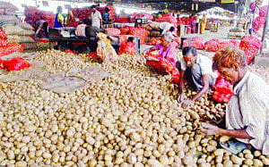 Chips are down for the humble spud