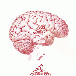 learning new language changes your brain: study
