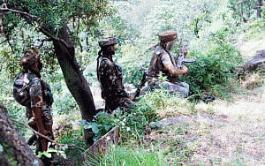 Pak resorts to firing along IB in Jammu