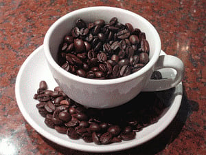 Coffee could prevent weight gain