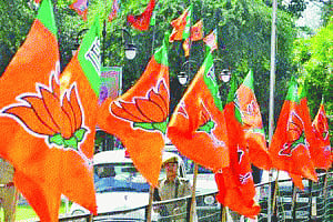 Good show: BJP gets 8l new members in Delhi