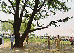 No evidence found of murder, rape in Badaun sisters case