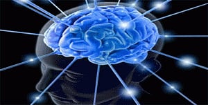 Gateway to human memory pinpointed