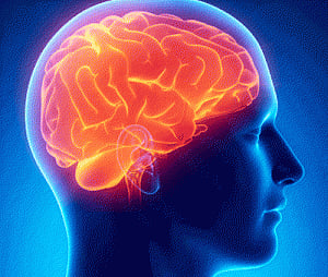Memory lapses put highly educated at greater stroke risk