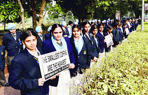 Delhi schools mourn deaths of Peshawar schoolkids