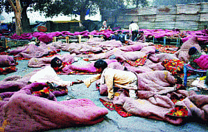 Homeless prefer open sky to filthy night shelters