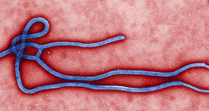 Ebola, jihadis main threats for Africa in 2015