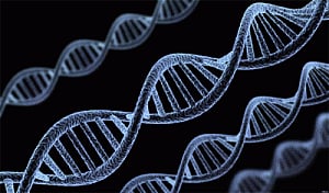 New genes responsible for rare disorders identified