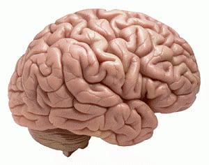 'Headache may be only symptom of brain tumour'