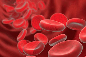 New device can diagnose 1000 blood pathogens in 6 hours