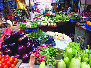 Cold truth! Veggie prices send chills down household budgets