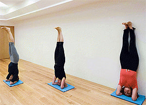 Yoga a potential therapy for cardiovascular disease: Study