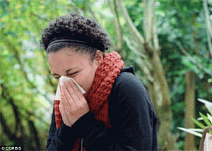 Sex hormones put women at allergy risk