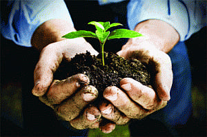 Prospects in Agri-Biotech