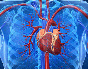 How weather affects heart attack outcome