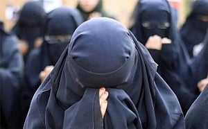 No scope of change in triple talaq system: Qureshi