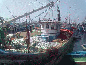 British seafood experts visit Kerala fisheries varsity
