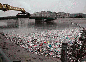 Pollution-free Yamuna, a government commitment: Bharti