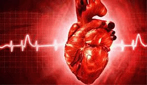 New device revives dead hearts for transplant