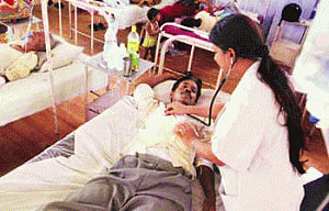 Worries mount as dengue deaths rise
