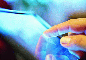 New helpline for dengue-related queries