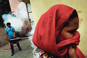 Touts make hay as panic sets in