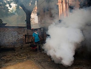 Centre, Delhi govt to reply on steps taken to treat dengue